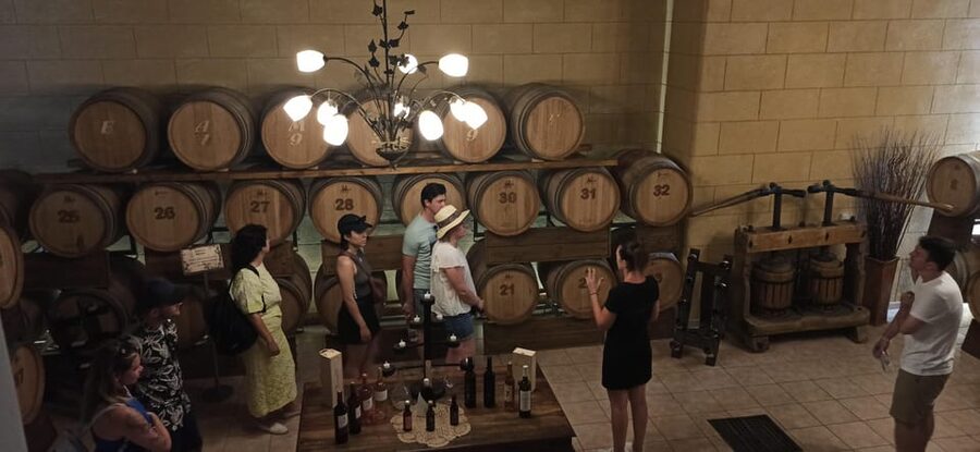 Kos: Wineries Tour w/ Wine Tastings & Transportation - What you will learn about Kos wine