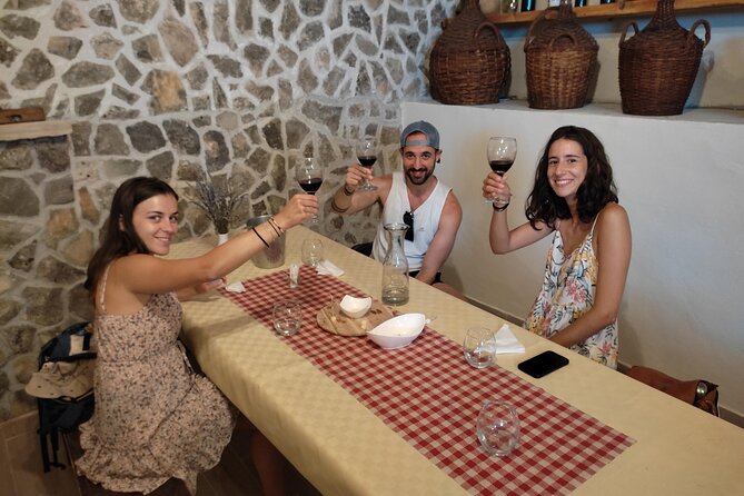 Krka National Park Tour with tour Guide & Wine tasting from Split & Trogir - Guides, drivers, and the value of the commentary