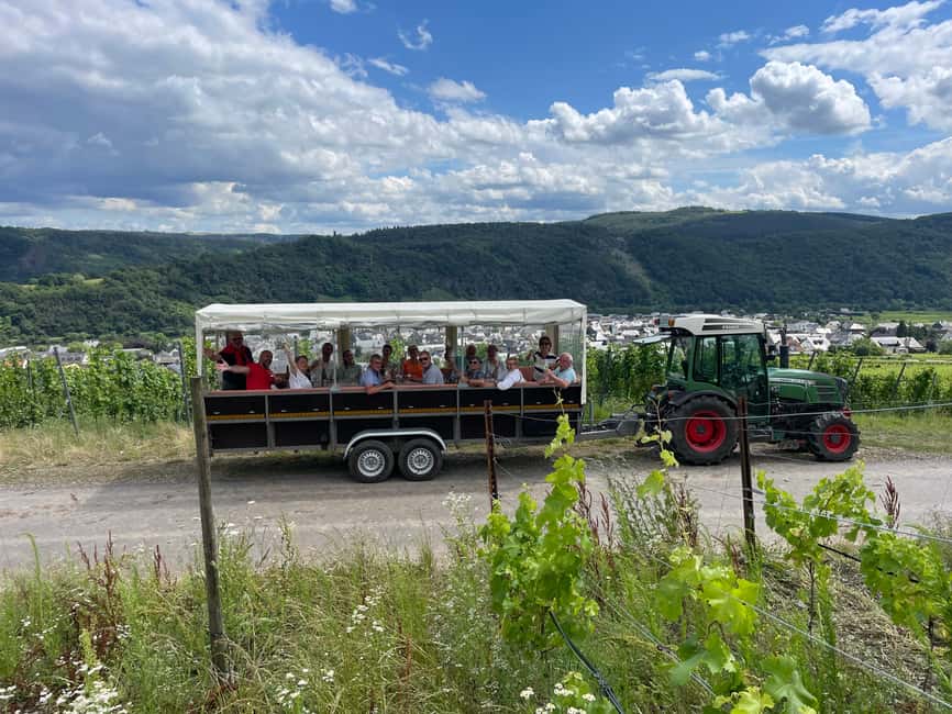 Kröv, Mosel: Covered wagon ride through the vineyards with wine tasting - Rolling out from Kröv into the Mosel vineyards