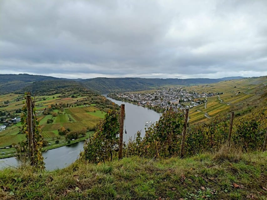 Kröv, Mosel: Covered wagon ride through the vineyards with wine tasting - Seven wines, with a clear sense of place