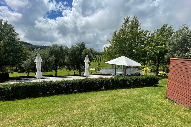 Kumeu Wine Tour - The Hunting Lodge: a shorter, more polished stop