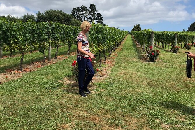 Kumeu Wine Tour - Soljans Estate Winery and the first tasting