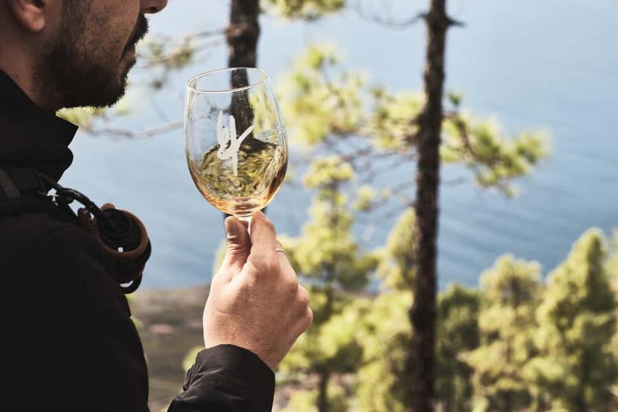 La Palma: Bodegas Teneguia Winery Tour with Wine Tasting - From harvest to fermentation