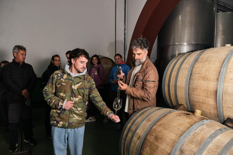 La Palma: Bodegas Teneguia Winery Tour with Wine Tasting - Is $17 good value?