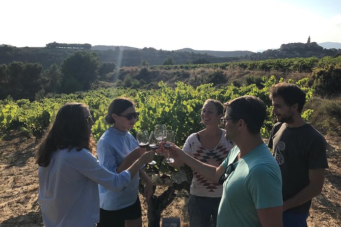 La Rioja Boutique Wine Tour & Charming Lunch (From Bilbao) - Walking the walls of Laguardia