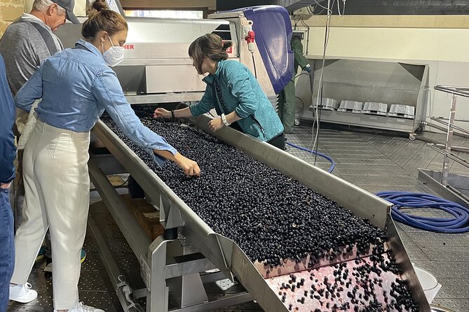 La Rioja Boutique Wine Tour & Charming Lunch (From Bilbao) - What the guides add to the day