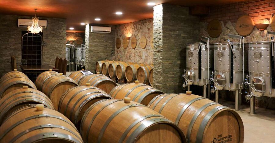 Lagoa: Guided Winery Tour and Local Wine Tasting - Key points to know before you book