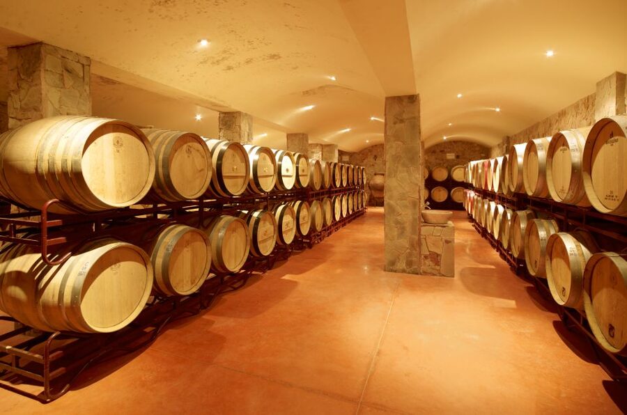 Lagoa: Guided Winery Tour and Local Wine Tasting - Why Quinta dos Vales feels different from a standard tasting