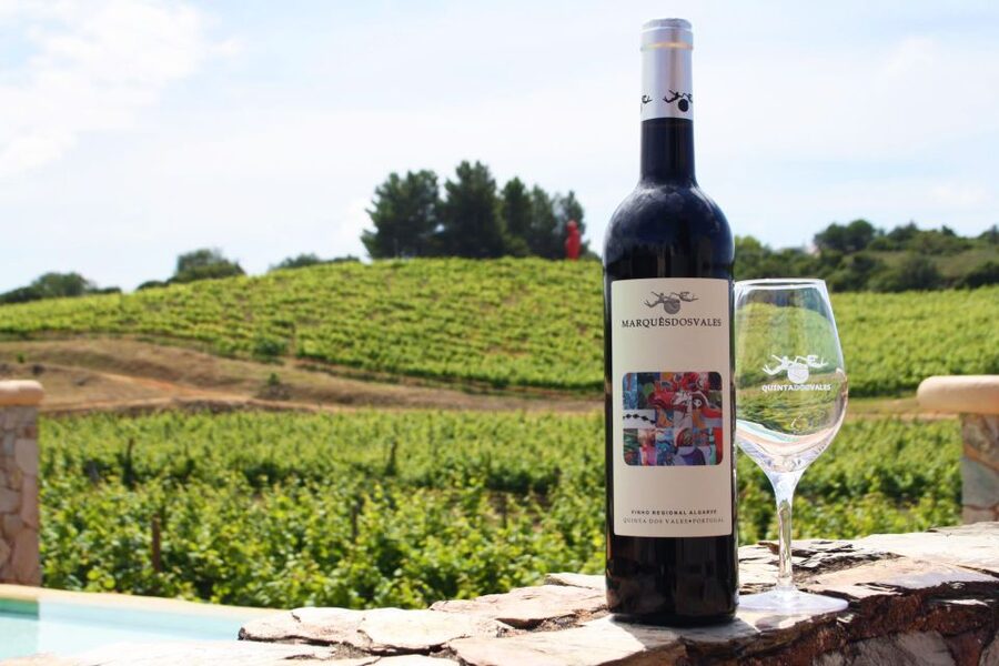 Lagoa: Guided Winery Tour and Local Wine Tasting - Terrace views or sculpture gardens