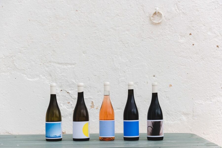 Lagoa: Vineyard Tour and Wine Tasting - What happens from the blue gate onward