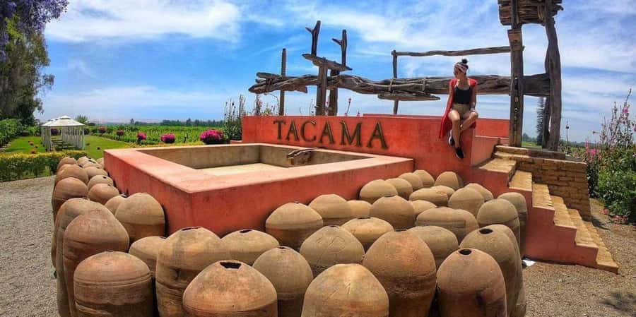 Lagos/Praia da Luz: Wine Tour, Tastings, Tapas, and Music - Paulo’s guitar and Portuguese song