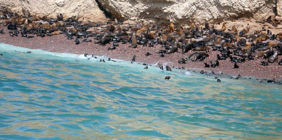 Lagos/Praia da Luz: Wine Tour, Tastings, Tapas, and Music - Shared tour or private outing