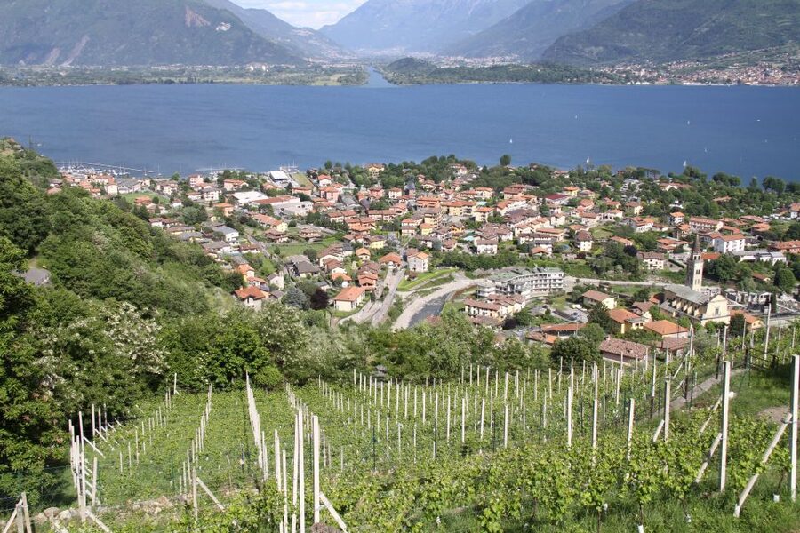 Lake Como: Winery Tour with Wine Tasting - Touring the cellar and learning how the wine is made