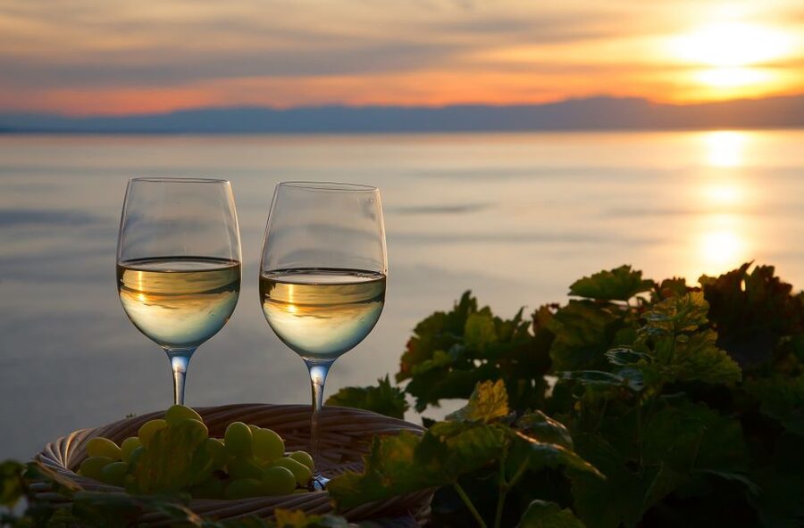Lake Como: Winery Tour with Wine Tasting - Three wines with local food pairings