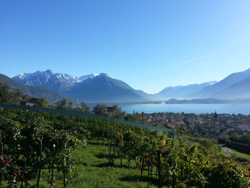 Lake Como: Winery Tour with Wine Tasting - The terrace view over northern Lake Como