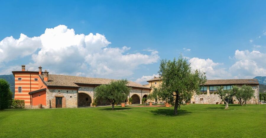 Lake Garda: Garda Hills Wine Tour and Tasting - A family estate above Lake Garda