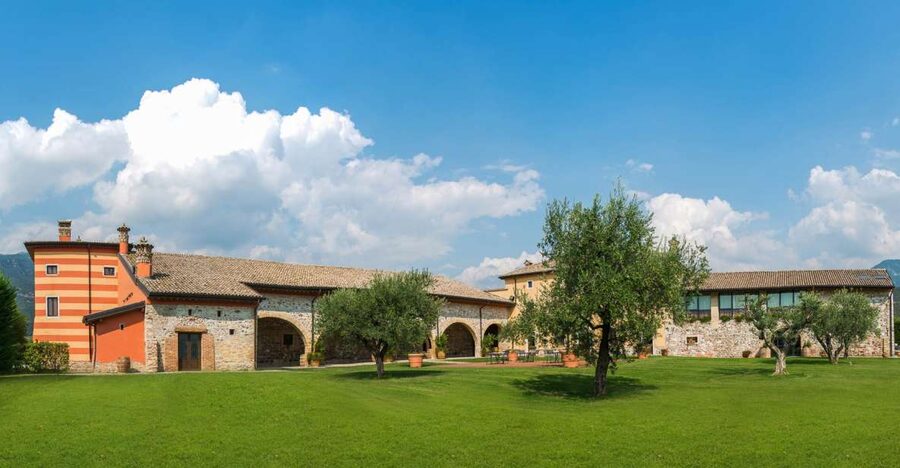 Lake Garda: Garda Hills Wine Tour and Tasting - Walking among the vines