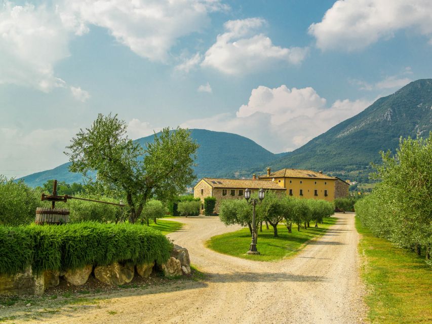 Lake Garda: Garda Hills Wine Tour and Tasting - What the $51 price gets you