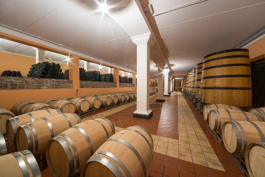 Lake Garda: Garda Hills Wine Tour and Tasting - The new cellar and the aging cellar