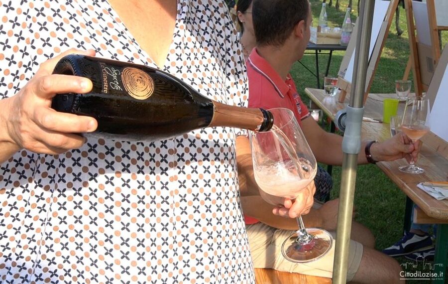 Lake Garda: Wine and Food Tastings in the Vineyards - Key points to know before booking