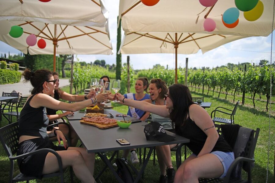 Lake Garda: Wine and Food Tastings in the Vineyards - Should you book the Lazise vineyard tasting?