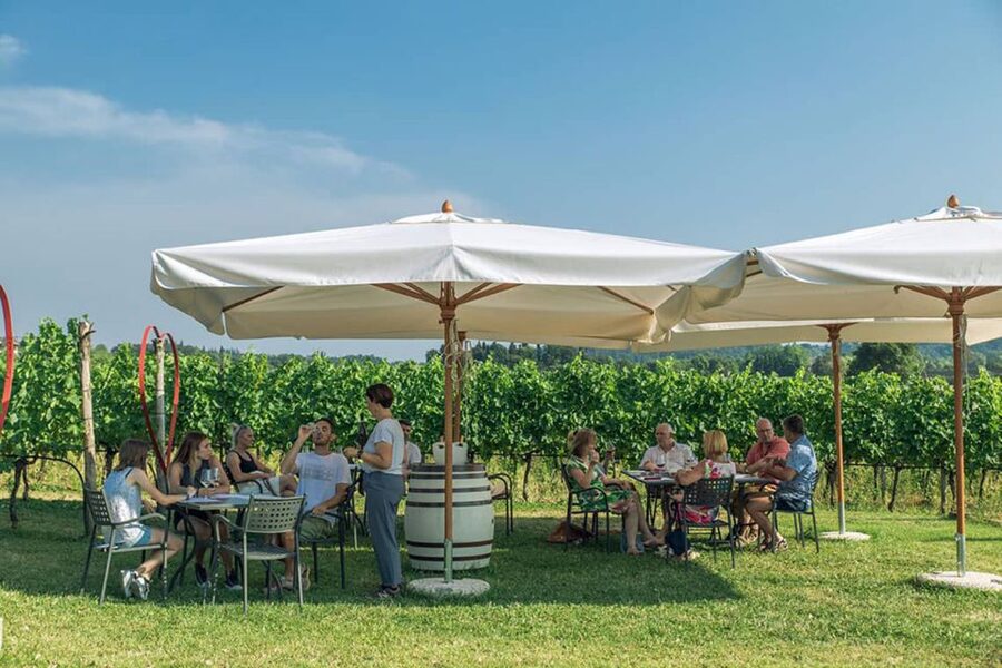 Lake Garda: Wine and Food Tastings in the Vineyards - The setting at Azienda Agricola Le Ginestre