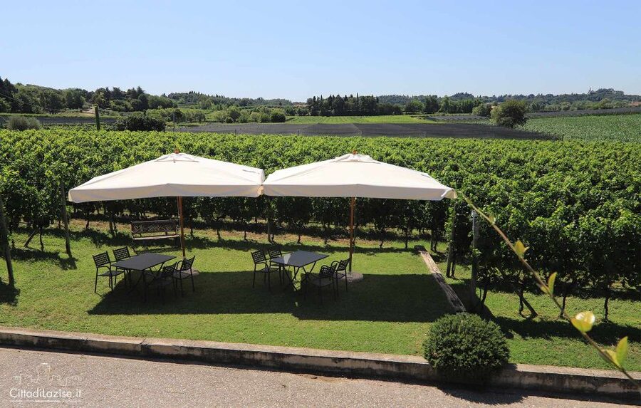 Lake Garda: Wine and Food Tastings in the Vineyards - Is six wines for $50 good value?