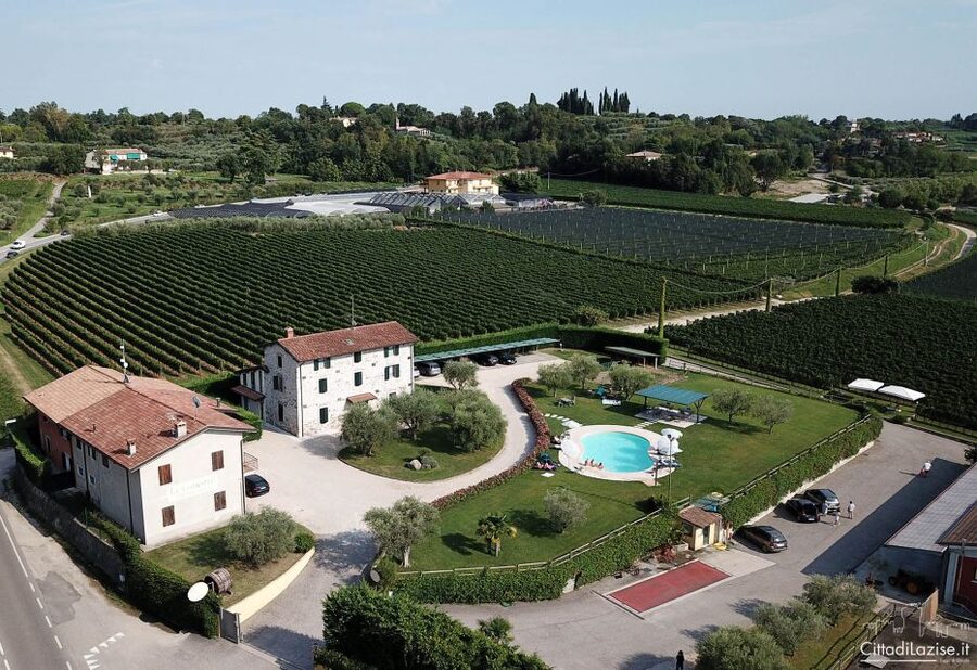 Lake Garda: Wine and Food Tastings in the Vineyards - Who will enjoy this tasting most?
