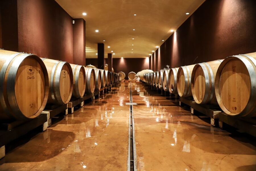Lake Garda: Wine Tour and Tasting Experience in Bardolino - Key points to know before booking