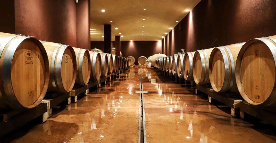 Lake Garda: Wine Tour and Tasting Experience in Bardolino - Four local wines with regional food