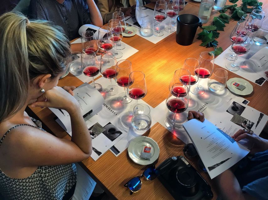 Lake Garda: Wine Tour and Tasting Experience in Bardolino - Touring the winery from harvest to bottle