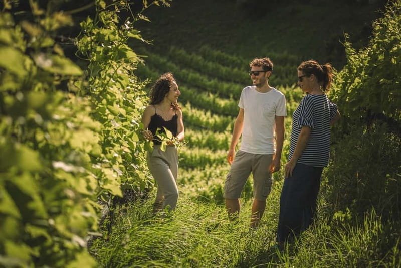 Lake Ledro: wine Pic Nic with stunning Lake View - Why the local wine matters here