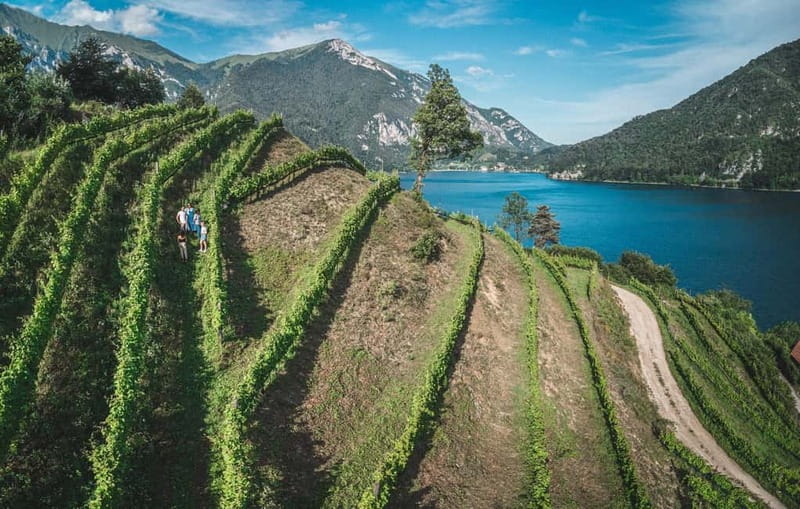 Lake Ledro: wine Pic Nic with stunning Lake View - Small details that make the day easier