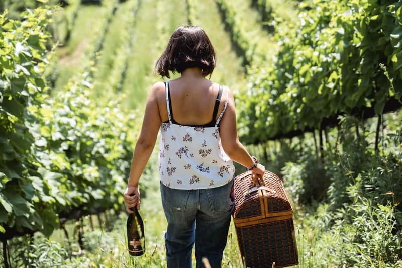 Lake Ledro: wine Pic Nic with stunning Lake View - Should you book the Lake Ledro wine picnic?