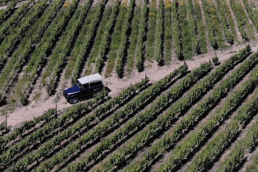 Lamego: Quinta da Portela de Baixo Winery Tour and Tasting - Six wines, generous pours, and local food
