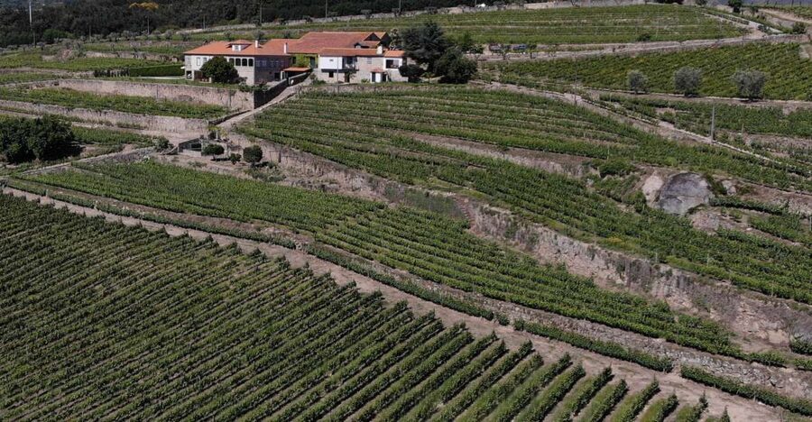 Lamego: Quinta da Portela de Baixo Winery Tour and Tasting - The Douro views make the tasting memorable