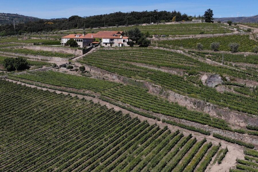 Lamego: Quinta da Portela de Baixo Winery Tour and Tasting - Who will enjoy Quinta da Portela most?