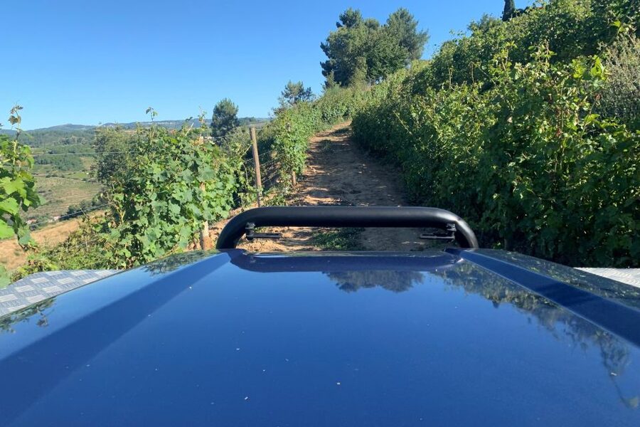 Lamego: Quinta da Portela de Baixo Winery Tour and Tasting - Should you book this Lamego wine tour?