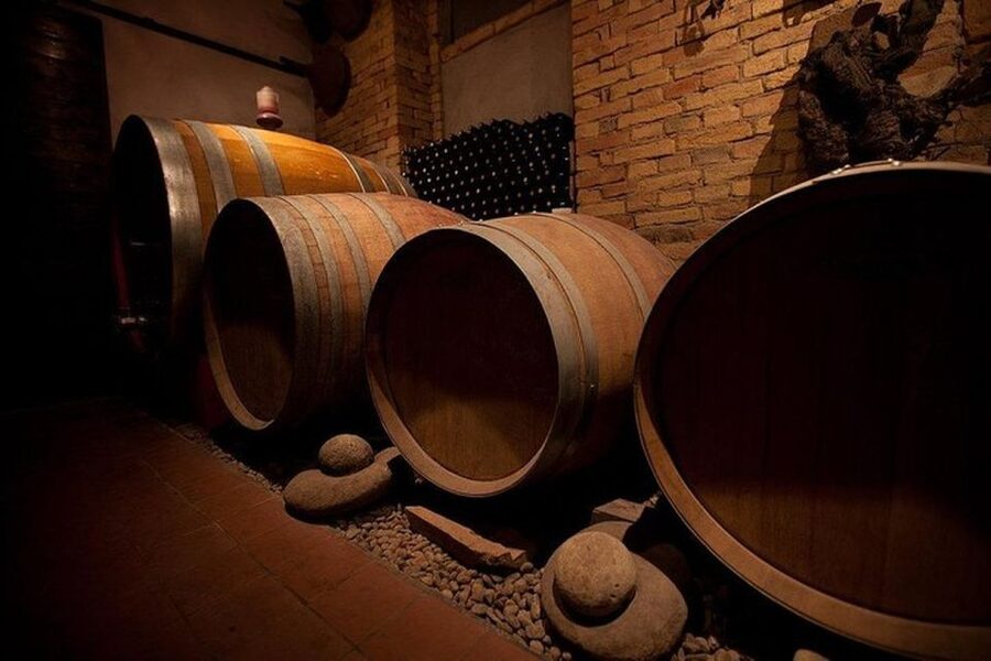 Langhe & Monferrato: Vineyard Tour and Wine Tasting - Key points at a glance