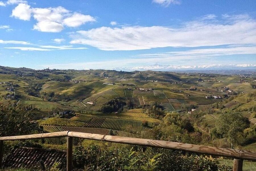 Langhe & Monferrato: Vineyard Tour and Wine Tasting - Who will enjoy this winery visit most?
