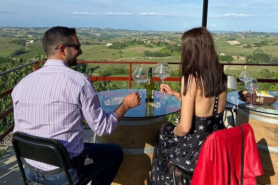 Langhe & Monferrato: Vineyard Tour and Wine Tasting - The vineyard walk and the work behind each bottle