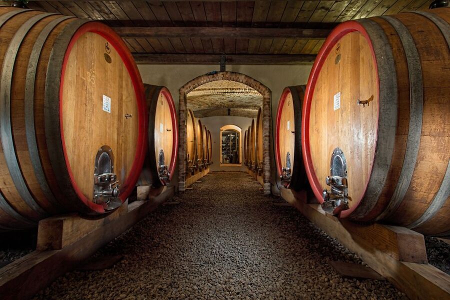 Langhe: Winery Tour and Wine Tasting - Following Nebbiolo from harvest to bottle