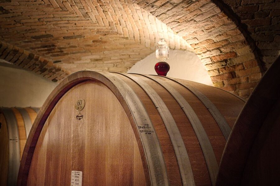 Langhe: Winery Tour and Wine Tasting - A small winery experience, not a party tasting