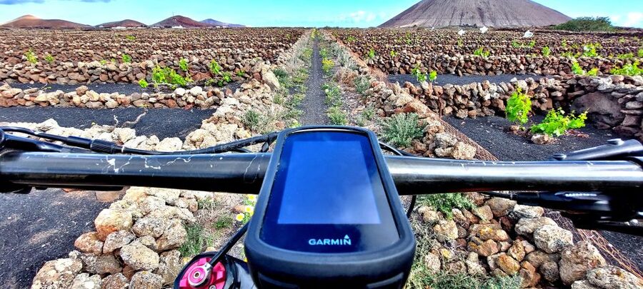 Lanzarote E-Bike Tour: Volcano Craters & Scenic Vineyards - Who should book this Lanzarote e-bike tour?
