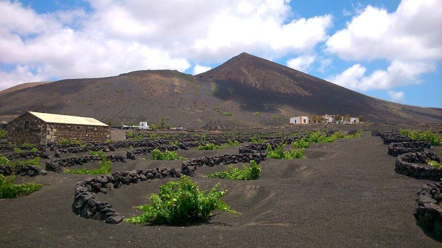 Lanzarote: La Geria Vineyards Hiking Tour - Reaching the high point above the vineyards