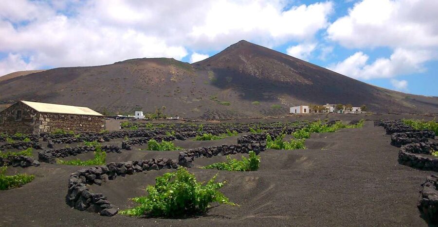 Lanzarote: La Geria Vineyards Hiking Tour - How the guides shape the walk