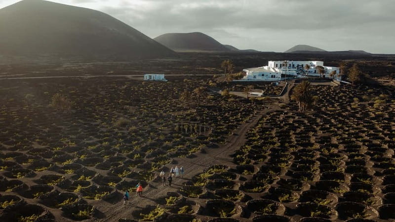 Lanzarote: Sunset vineyard tour with wine and chocolate tasting - Why Finca Testeina makes a fine sunset stop
