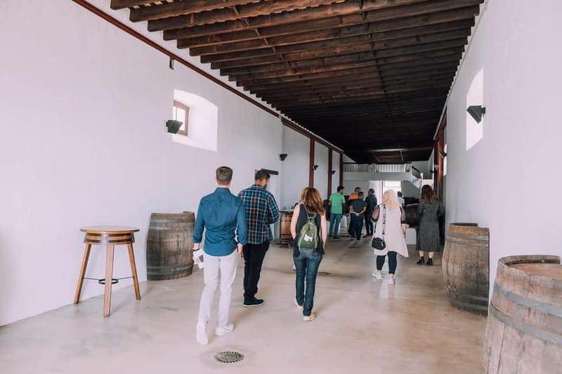 Lanzarote: Sunset vineyard tour with wine and chocolate tasting - Who should book this experience?