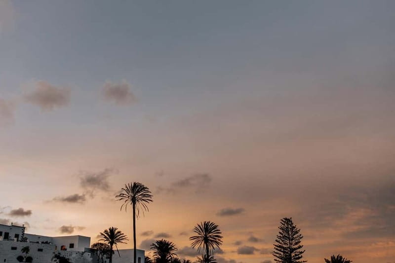 Lanzarote: Sunset vineyard tour with wine and chocolate tasting - My recommendation for Finca Testeina