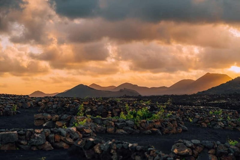 Lanzarote: Sunset vineyard tour with wine and chocolate tasting - What the volcanic setting adds to the wine